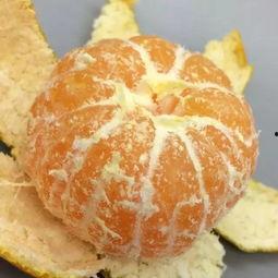 橘子最新爆料视频,娱乐圈幕后真相大曝光！  第1张